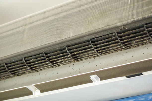 Best Affordable Duct Cleaning Services  in Riverton, UT